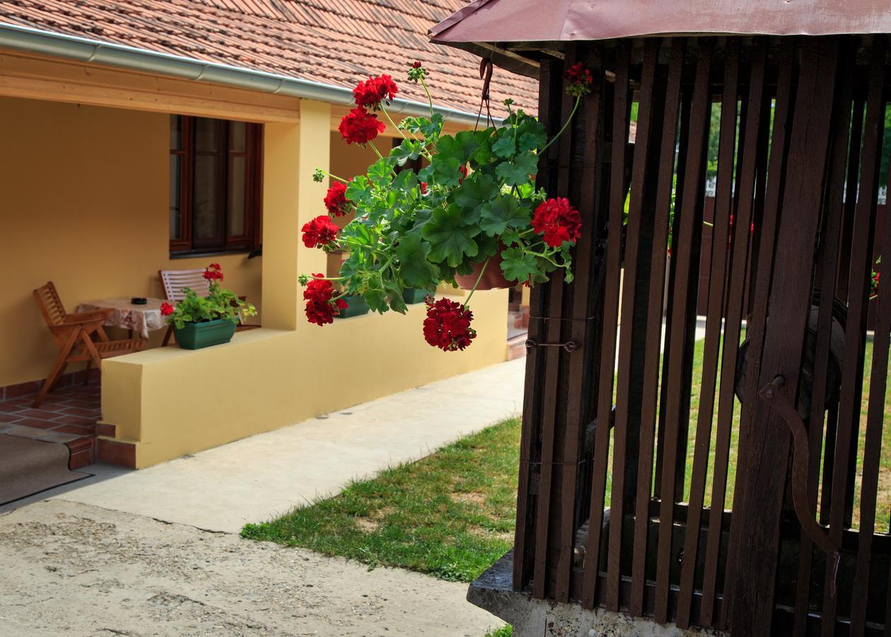 Fortuna Apartments Pacir Exterior foto